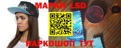 амф Сланцы